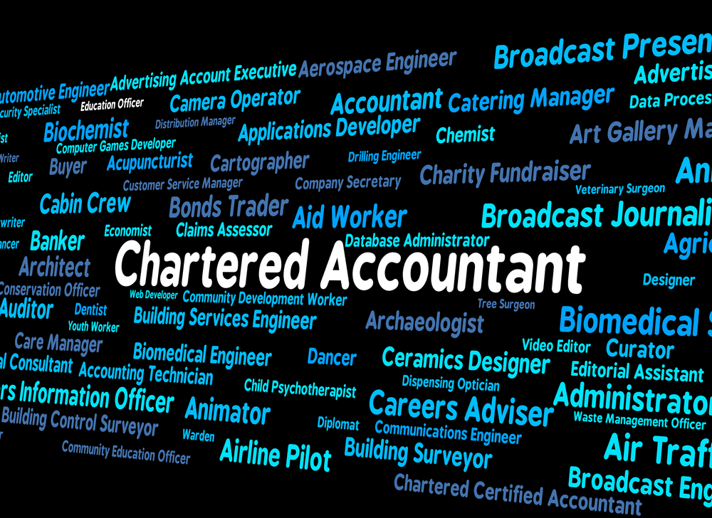 Use the big picture skills of a Chartered Accountant to boost your success